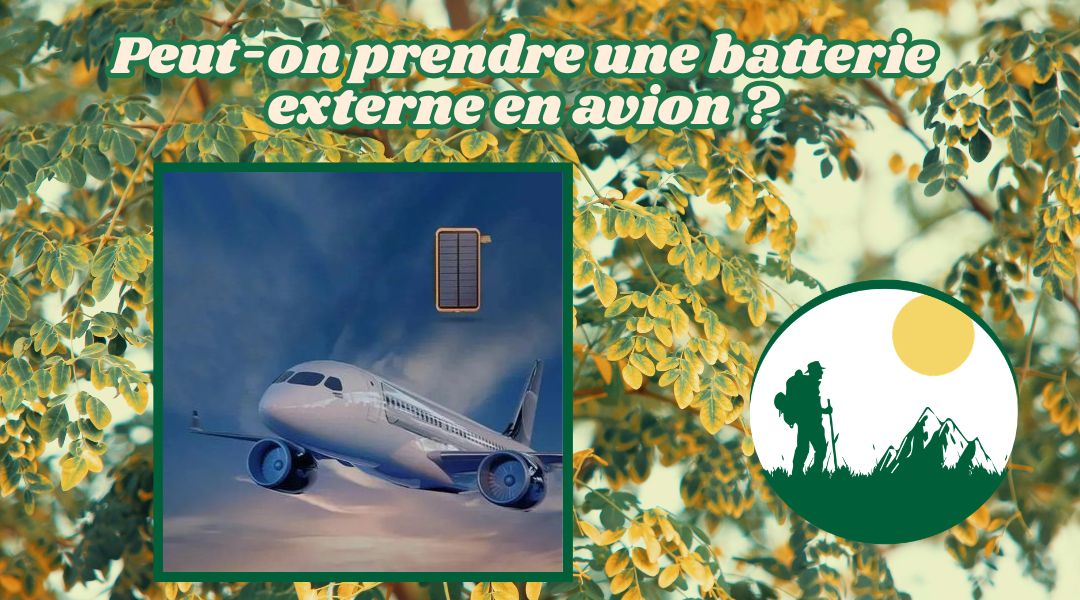 Peut-on prendre une batterie externe en avion