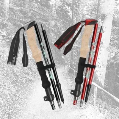 Deux variantes batons randonnée pliables