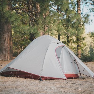 Tente bivouac 2 places légère plantée sous pins